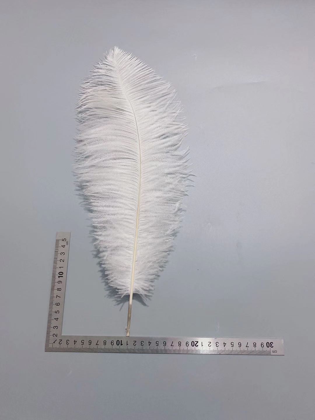 White ostrich feathers 50-55 cm, wedding decoration, home furnishings, flower arrangements, feather lamps, colorful ostrich feathers pic 37