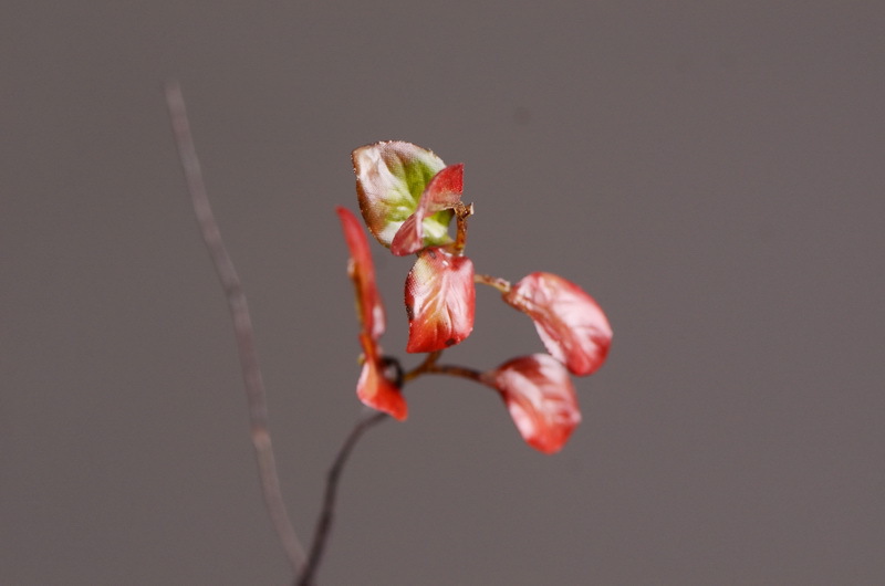 Flower Knowledge, simulating spring rain leaves, New Chinese-style Zen-inspired soft furnishings, flower leaf materials, simulating touch, autumn leaves, home decorations, floral art pic 24