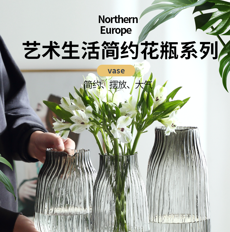 纳纶大号玻璃花瓶透明水养富贵竹百合花瓶摆件客厅插鲜花干花北欧详情1