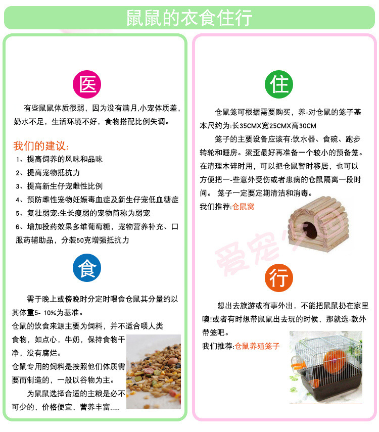 仓鼠批发小银狐布丁三线紫仓包活情侣幼崽一只金丝熊活体宝宝一对详情7