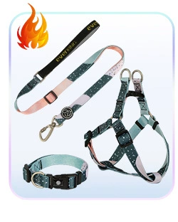 狗狗牵引绳小型犬中大型遛狗绳子渐变色狗链子胸背带宠物用品项圈详情5