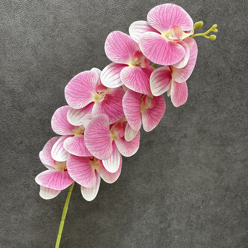 仿真高端3头植绒千姿露莲 洋牡丹仿真花 欧洲风居家客厅装饰假花详情7