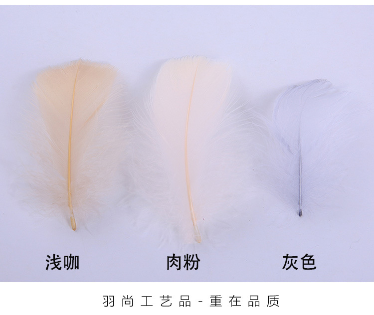 厂家直销优质天鹅毛 DIY彩色小飘羽毛 舞台服饰装饰辅料羽毛批发详情12
