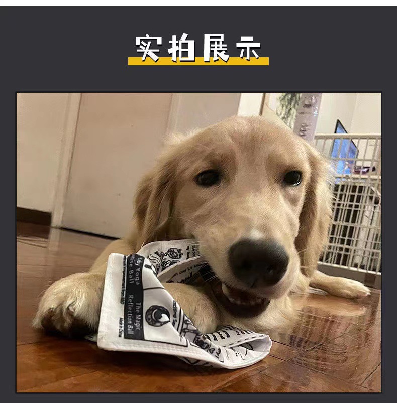 宠物狗狗发声玩具响纸报纸仿真解闷神器耐咬磨牙柯基泰迪幼犬互动详情5