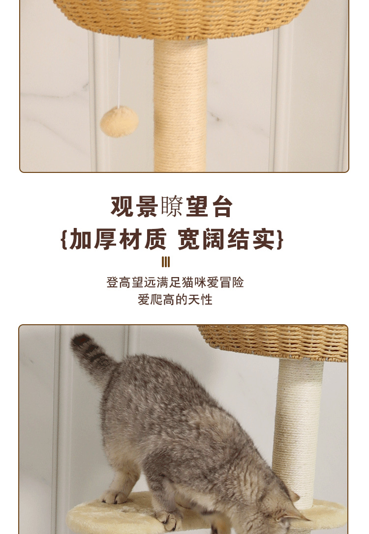 藤编猫爬架猫窝猫树一体不占地大型日式剑麻实木高层跳台四季通用详情9