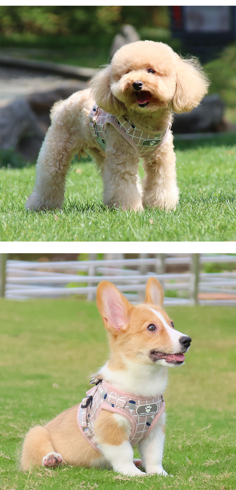 Pet leash vest style dog chest and back straps, small and medium-sized dog leash cat chest and back straps in stock wholesale pic 13