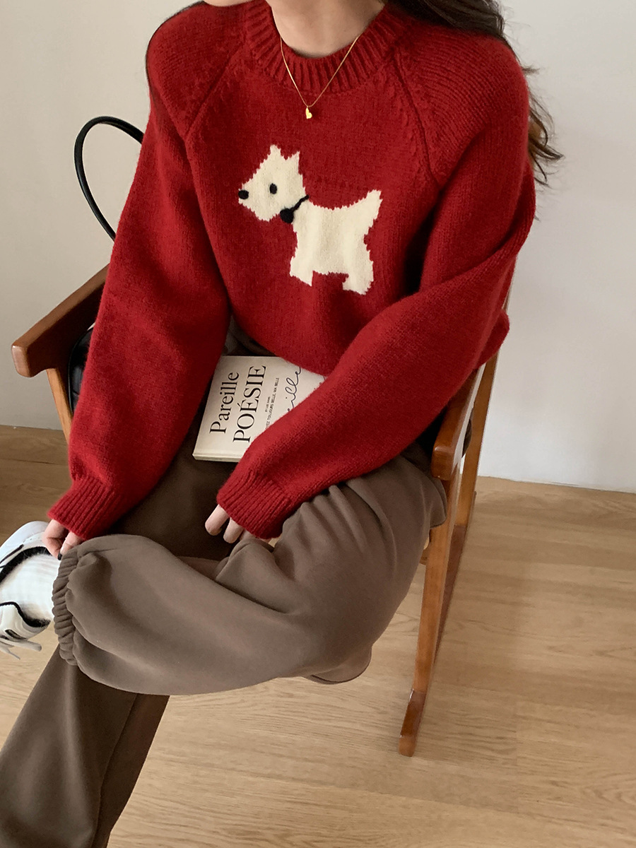 3th Morning North Island Park Korean Style Youthful Dog Embroidered Round Neck Pullover Sweater ZY2381 pic 57