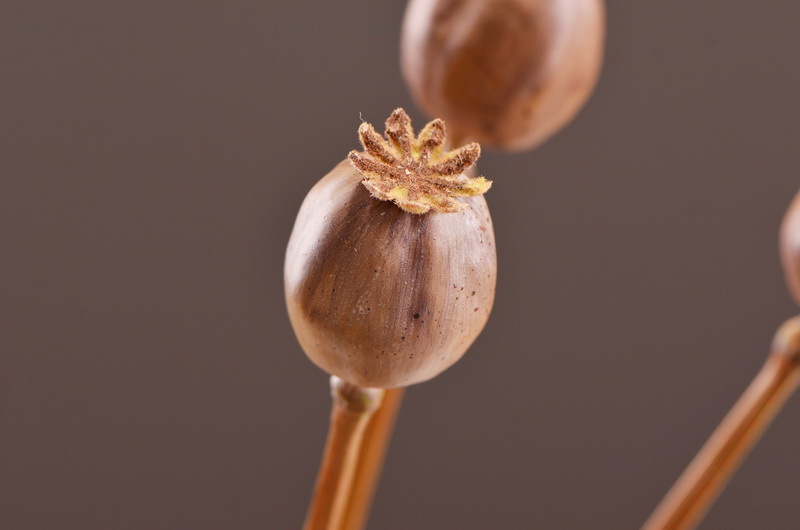 Original factory products, artificial fruits, flower arrangement materials, wabi-sabi style, simple country style, artificial fruits wholesale, artificial flowers pic 16