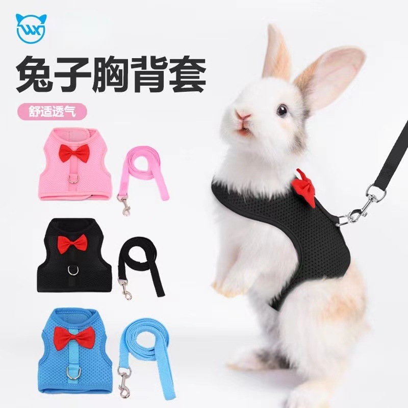 炫彩狗狗牵引绳渐变宠物胸背带外出遛狗绳防挣脱狗项圈大型犬狗绳详情18