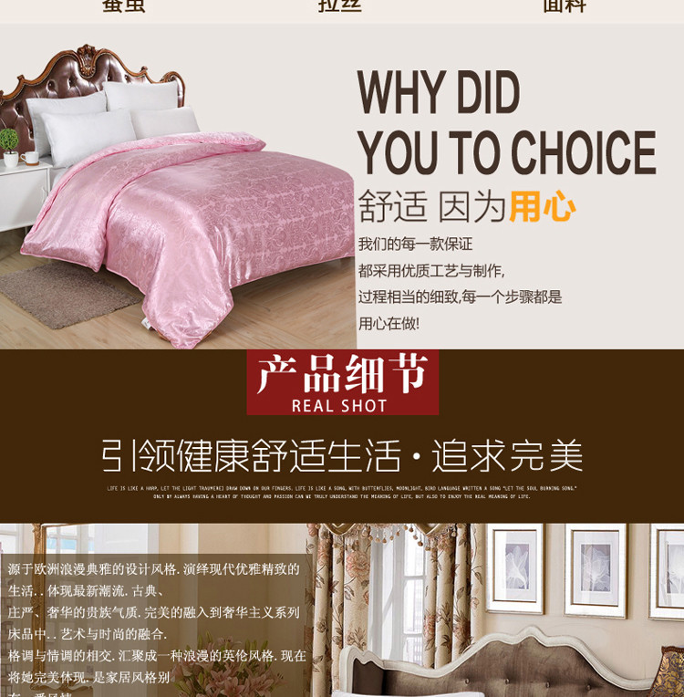 ywxuege Antarctic People Hotel Down Quilt 95 Goose Hanging thickened Warm Winter Quilt Core Single and Double Light Luxury Gift Quilt 20220706 pic 5