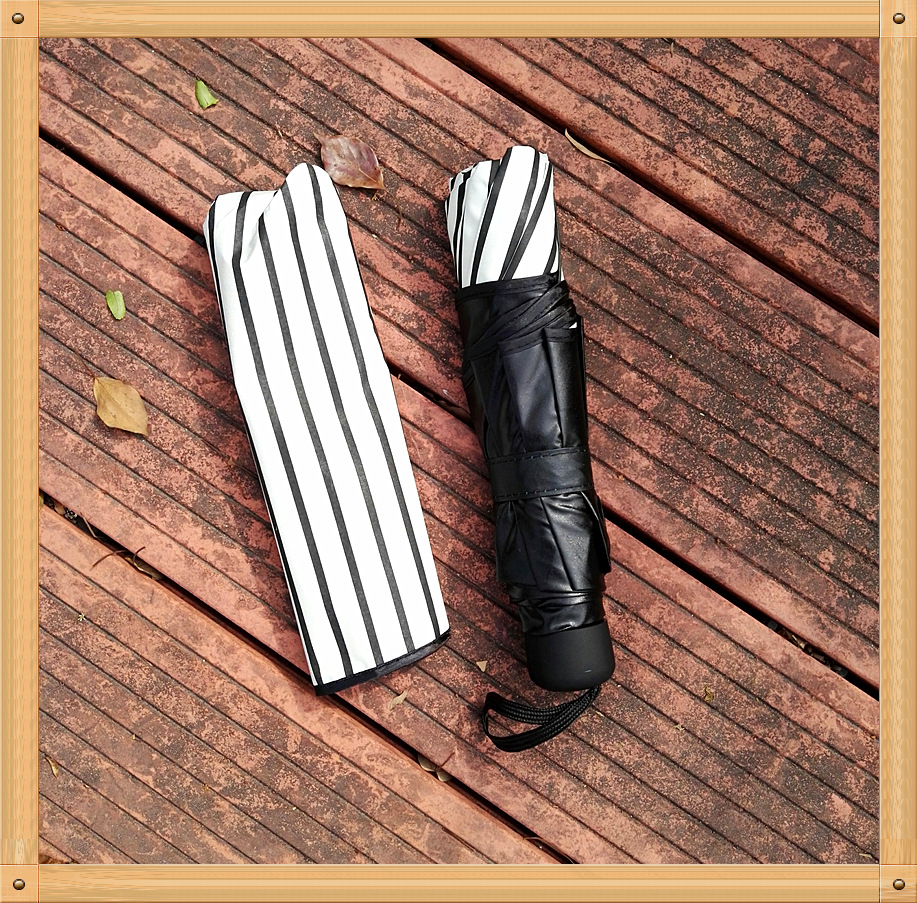 Factory direct sales of black and white striped vinyl umbrellas, Korean version of Apollo three-fold UV protection and sunshade sun umbrellas pic 3