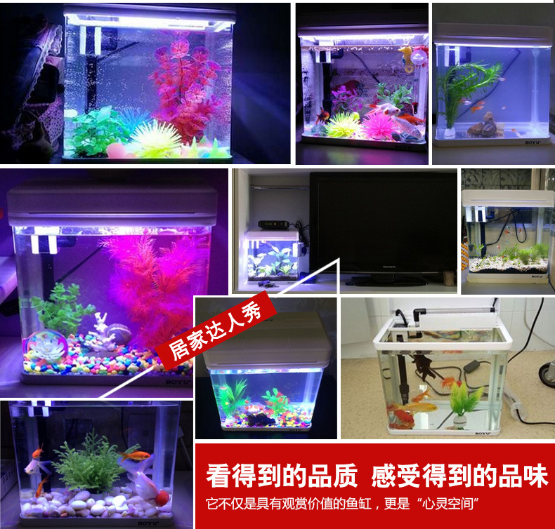 Wholesale BOYU fish tank aquarium mini office small glass fish tank MS series white pic 14