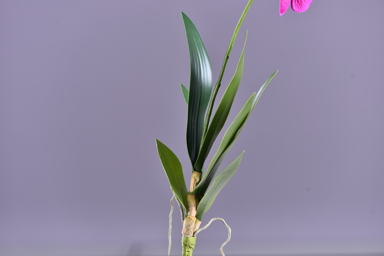 Factory direct sales of high-end artificial dendrobium, wholesale of artificial flowers with leaves, home decoration of Phalaenopsis and Lanjin artificial plants pic 29