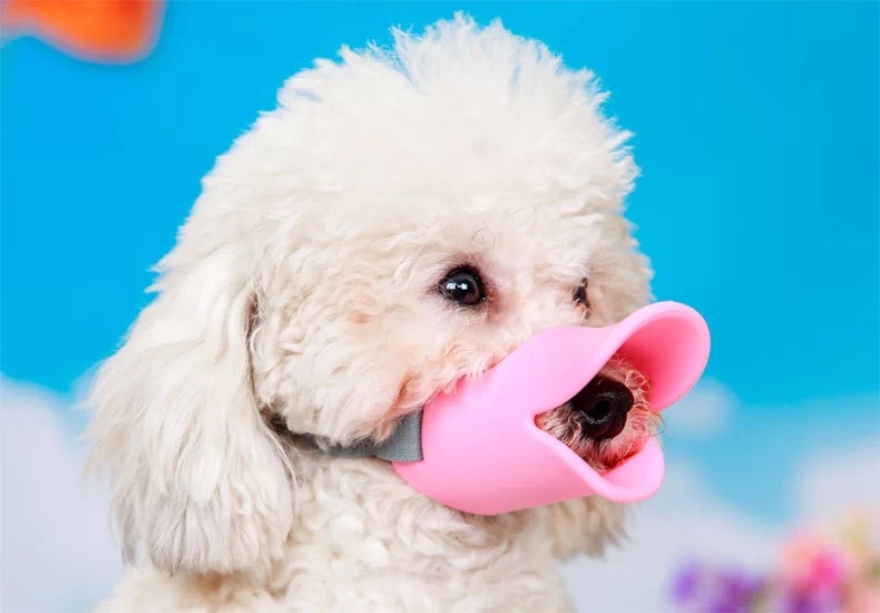 宠物狗嘴套鸭嘴套 (41)