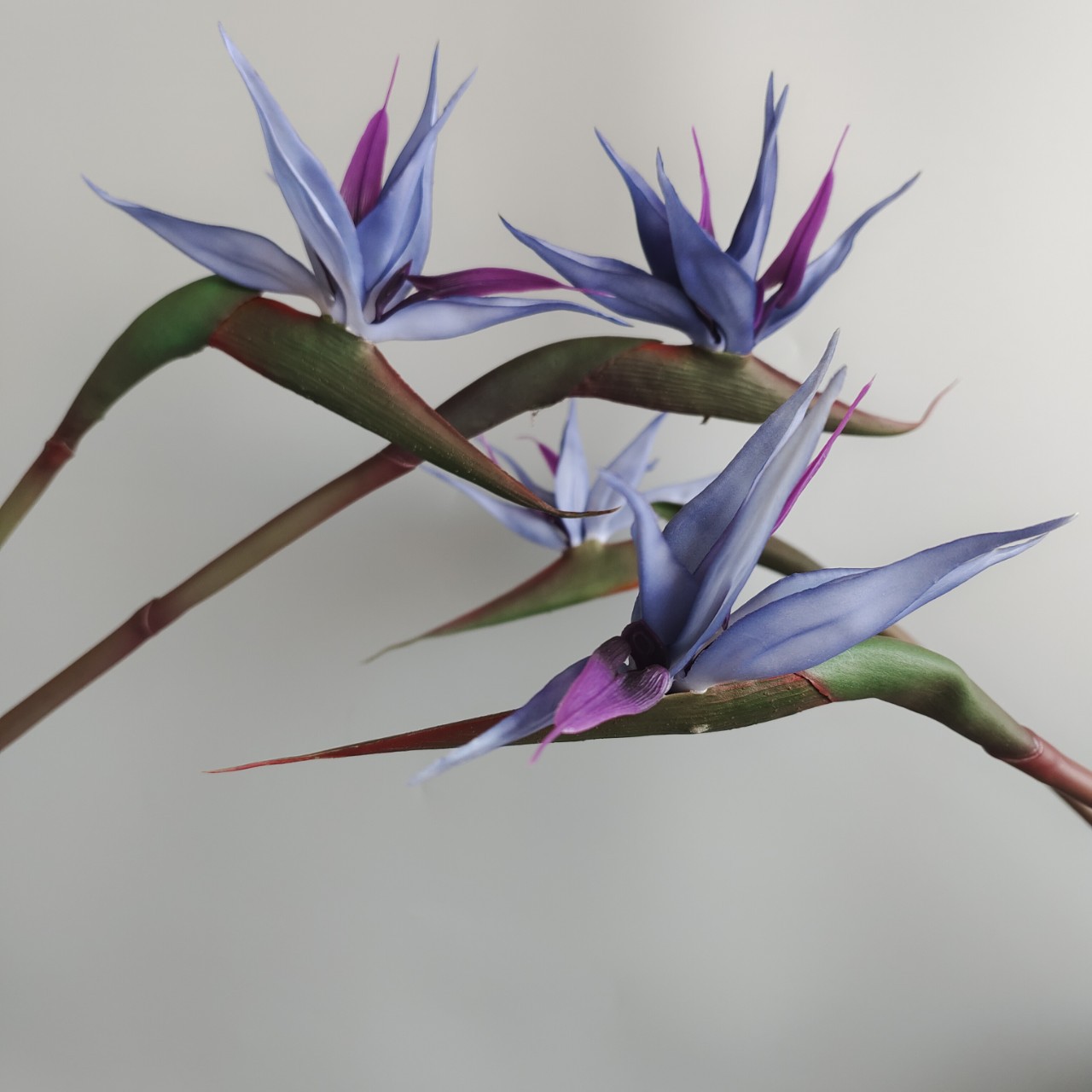 Soft rubber paradise Bird Crane Orchid New Chinese-style home model room decoration design, overseas wedding photography artificial flower pic 20