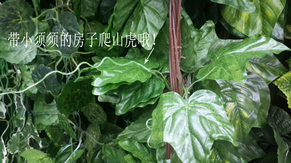 Artificial climbing ivy, artificial flower vine, artificial flower vine, wall-hanging plants, artificial sweet potato leaves pic 5