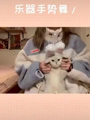 Zhi Ai Pet Headwear, Douyin Cat Pet Rabbit ear Headwear, rabbit cat hat, cute birthday decoration headwear outfit pic 7