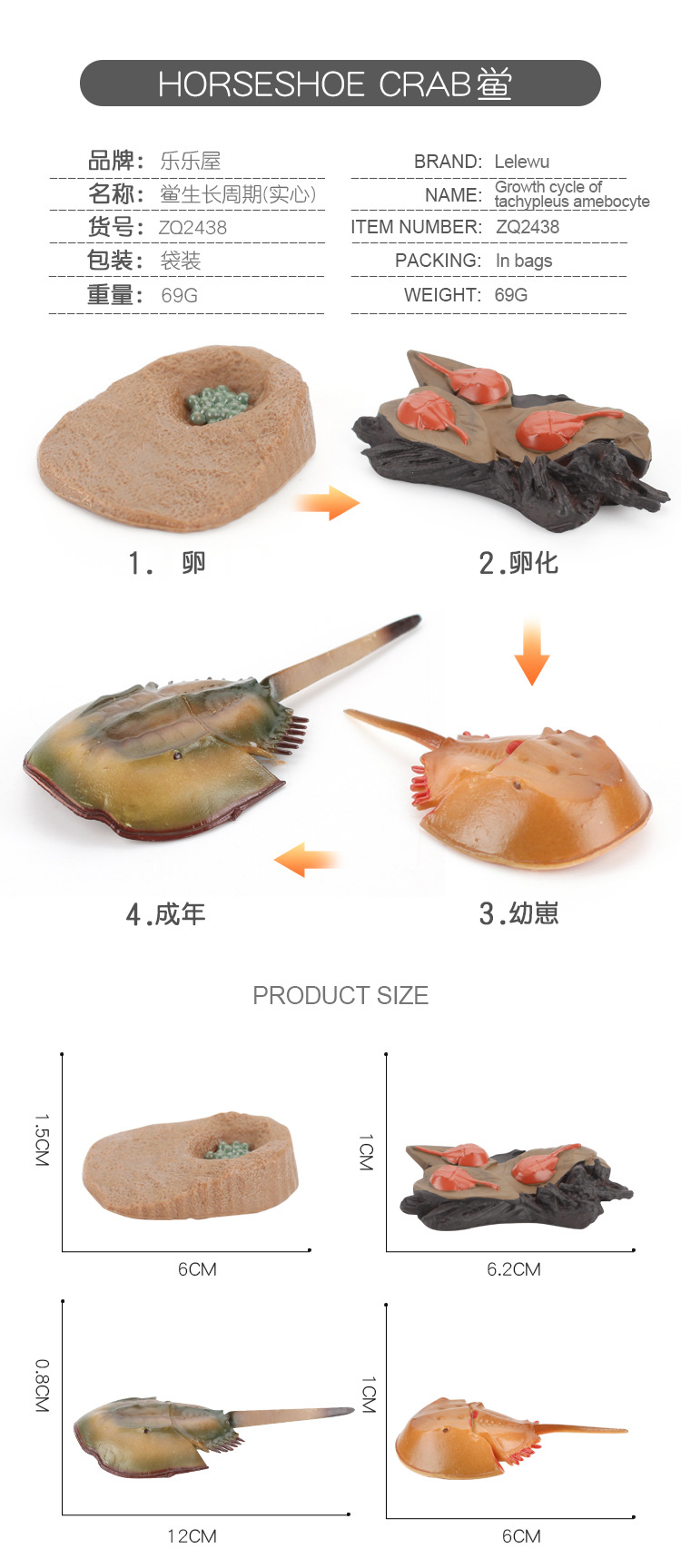 成长周期补款_01.jpg