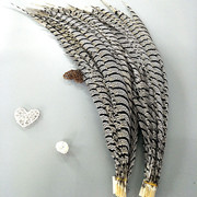 厂家批发珍珠鸡毛彩色羽毛 服装DIY手工工艺品饰品耳环材料野鸡毛详情3