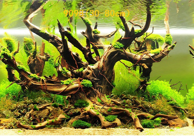 Wholesale production of 60cm high single-sided thin paintings, various ecological aquarium background paintings. Craft paintings. Aquarium equipment pic 100