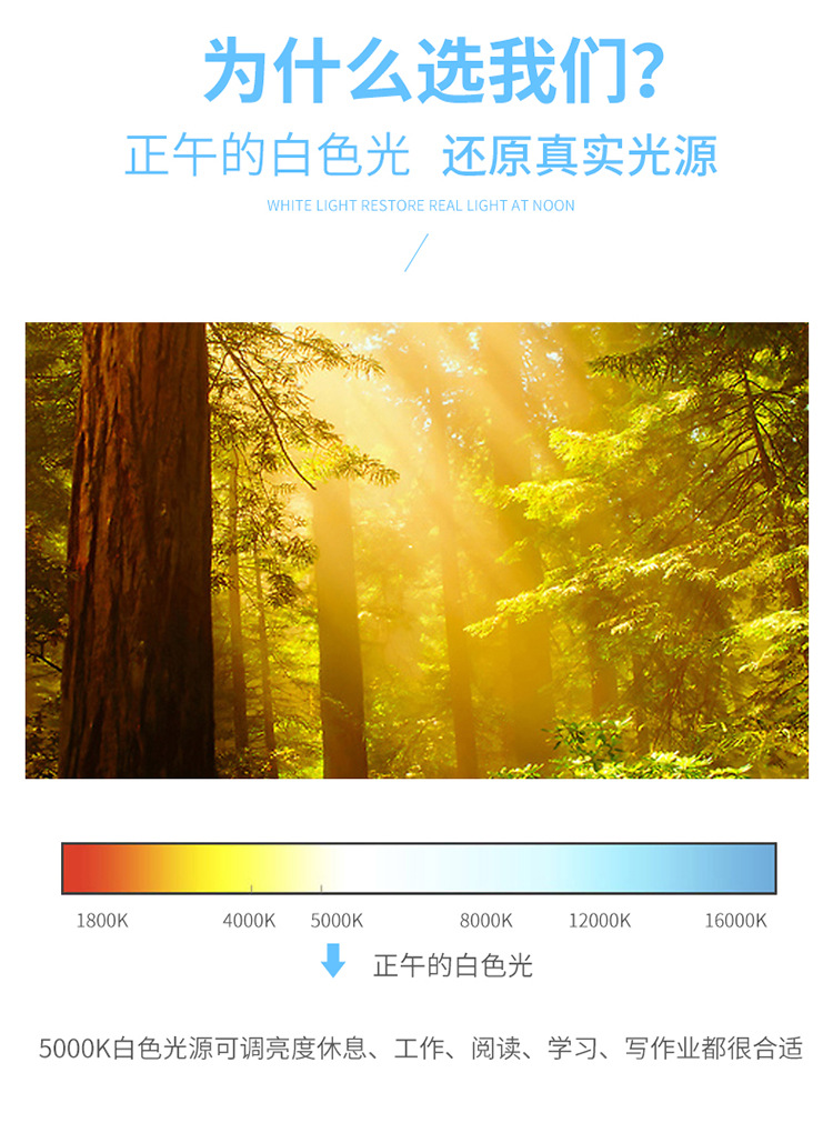 时尚可调节led儿童读写礼品台灯厂家 触摸学习桌护眼台灯礼品定制详情7