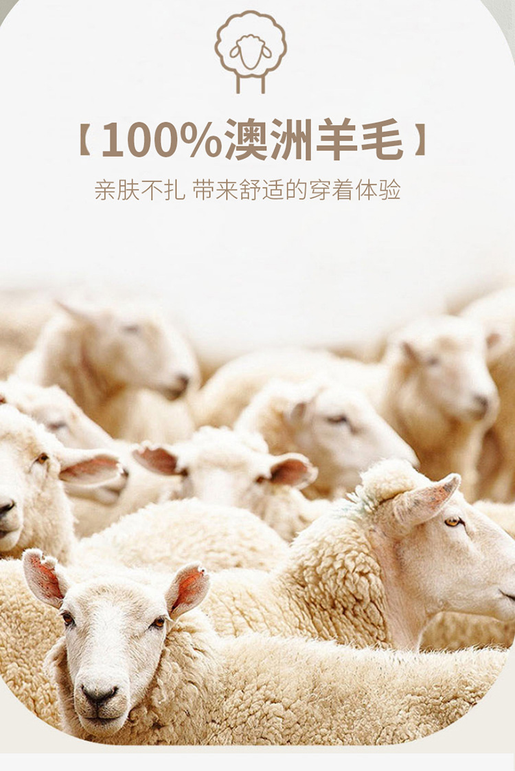 秋冬款100%纯羊毛衫女圆领韩版宽松大码毛衣打底衫加厚针织羊绒衫详情4