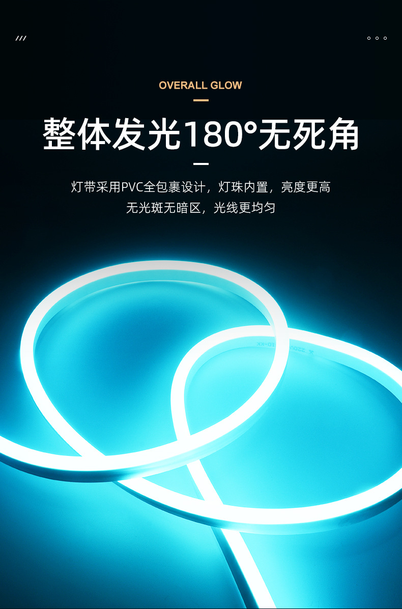 LED柔性霓虹灯带12v/220v RGB七彩变色做字硅胶KTV招牌创意软灯条详情4