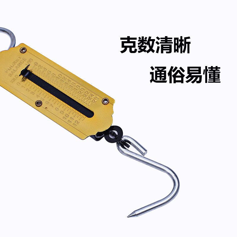 便捷式机械手提秤老式计量实验称买菜秤50kg弹簧秤吊秤详情12