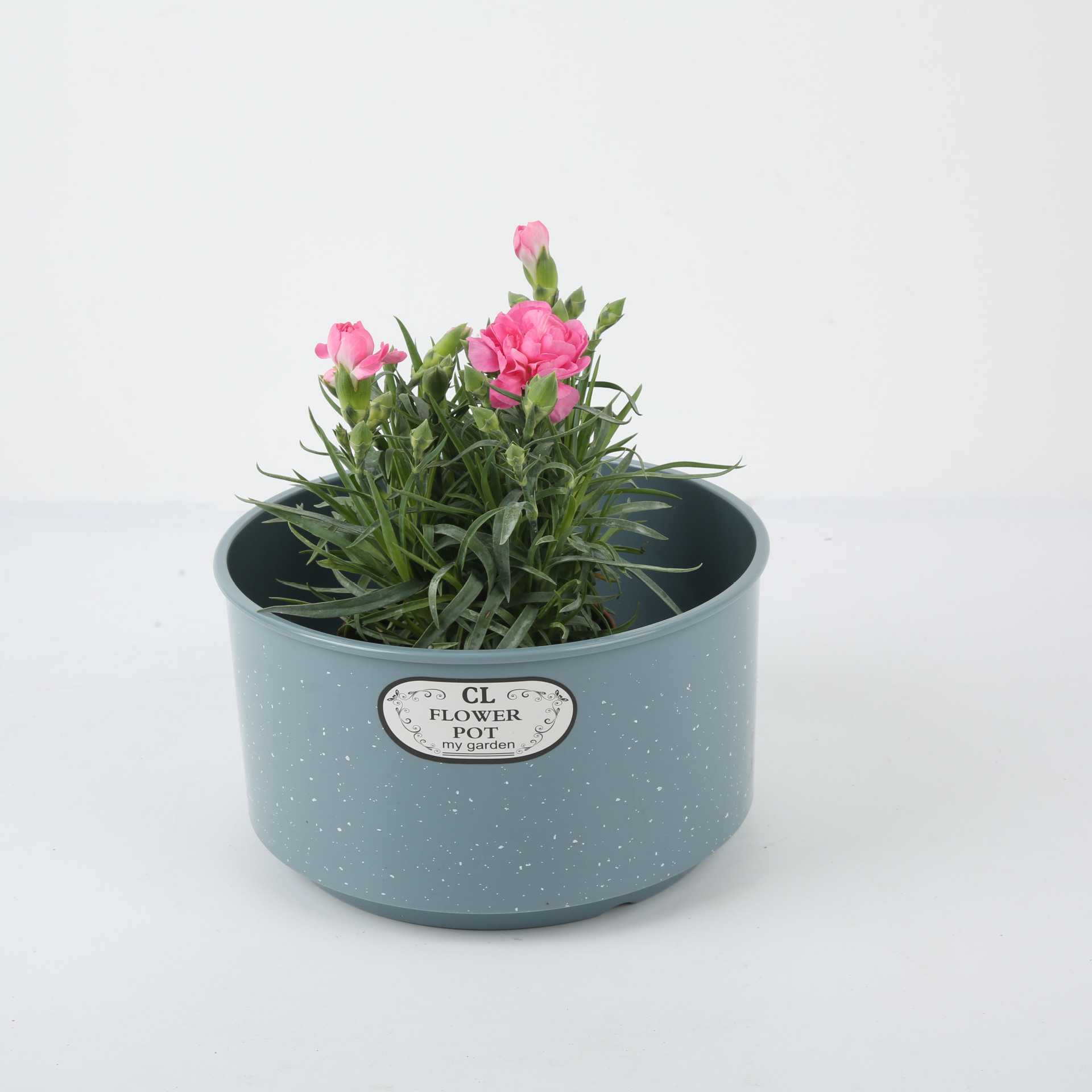 蝴蝶兰花盆欧式简约创意个性阳台绿萝塑料花盆盆栽种植花盆出口内销外贸兰花烤漆刷漆仿瓷仿古详情5