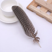 厂家批发珍珠鸡毛彩色羽毛 服装DIY手工工艺品饰品耳环材料野鸡毛详情6