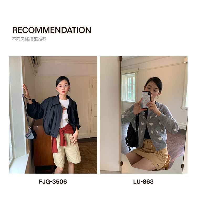 Short-sleeved T-shirt for women in the early autumn of 2024, with a loose, round neck and a simple, slimming design featuring a puppy print pic 5