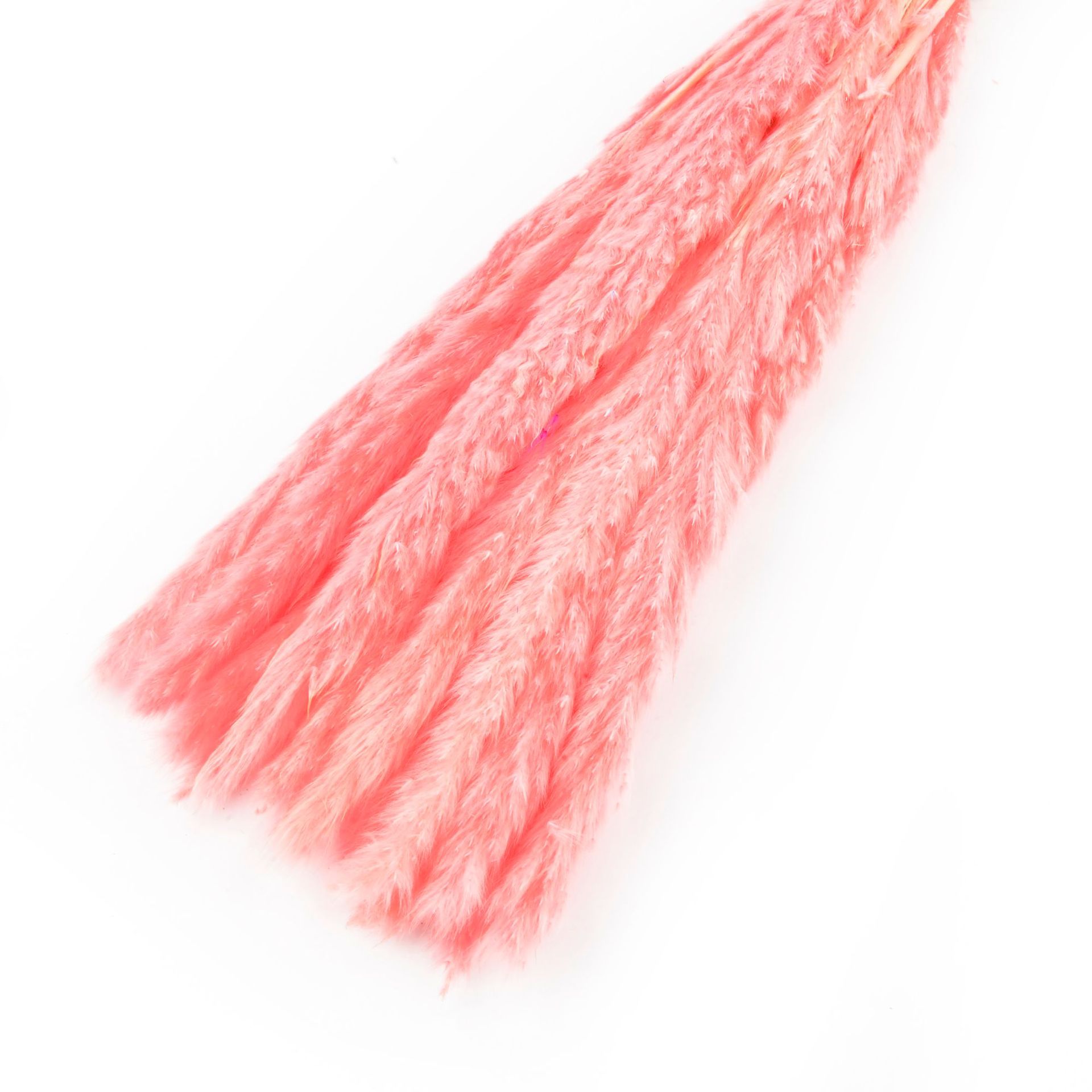 永生花小芦苇干花花束批发ins风家居装饰小芦苇厂家批发                                 详情18