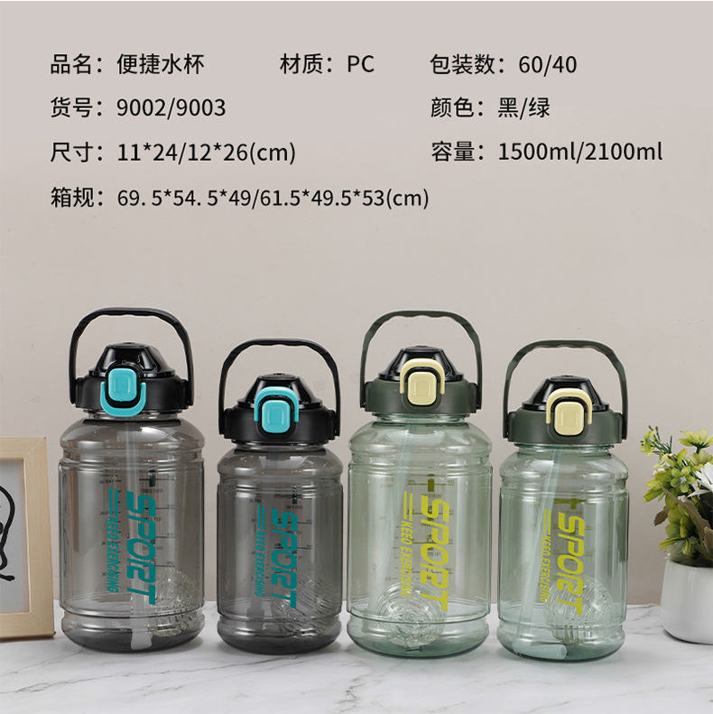 夏季便携耐高温随手杯太空杯简约弹盖塑料杯男女生高颜值水杯子详情9