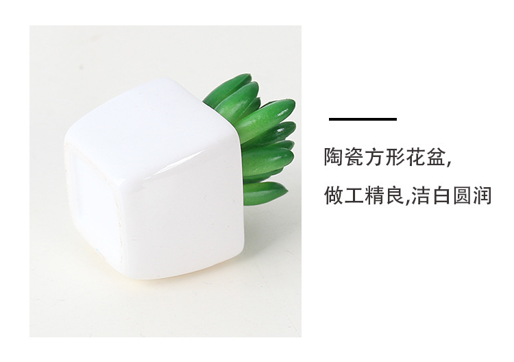 Factory wholesale mini artificial succulent plant potted plants, online store shooting props, desktop office decoration ornaments, artificial potted plants pic 19