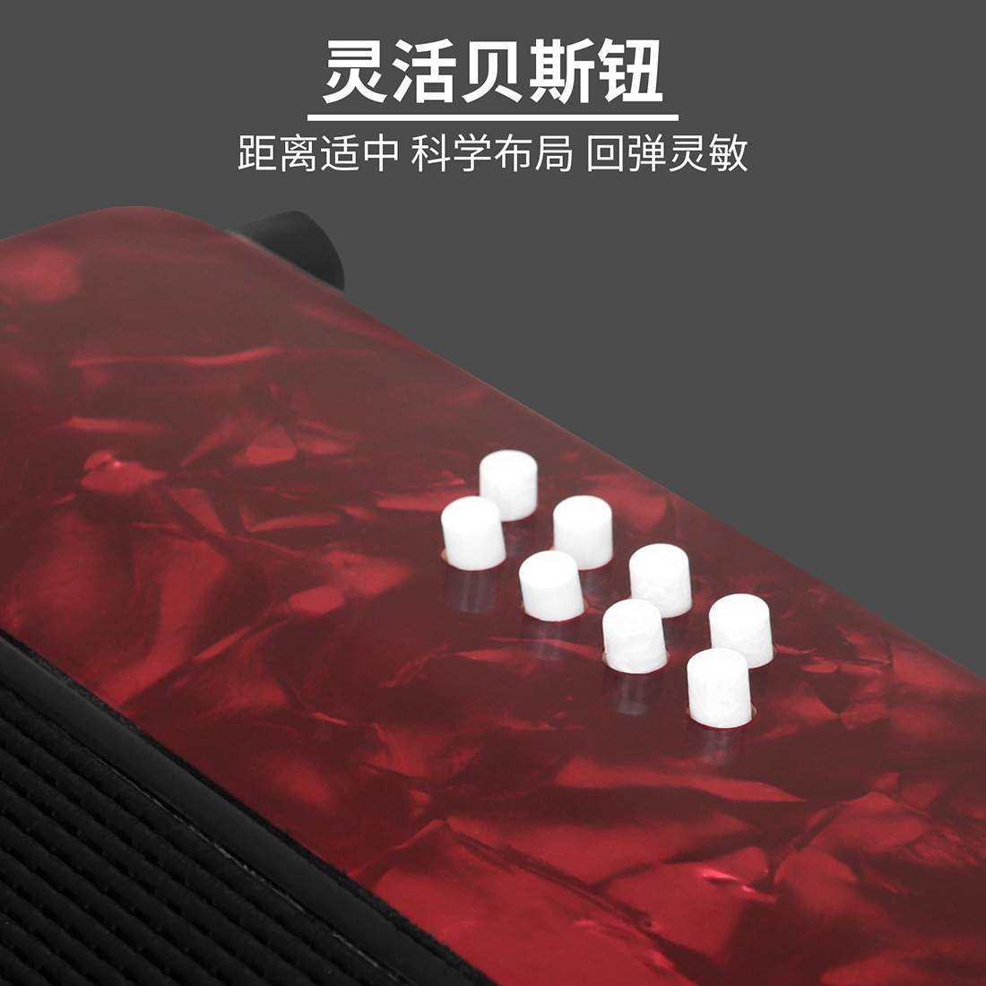 LADE巴扬22键8贝斯手风琴键钮手风琴儿童成人专业键盘手风琴乐器详情6