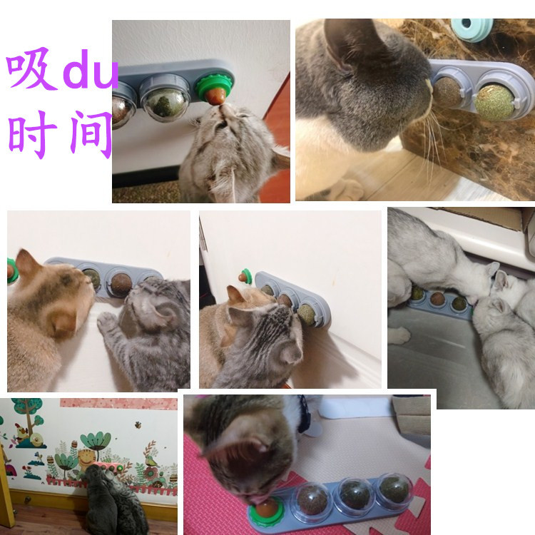 亚马逊爆款猫咪薄荷球玩具旋转猫薄荷猫零食棒棒糖自嗨猫玩具详情6