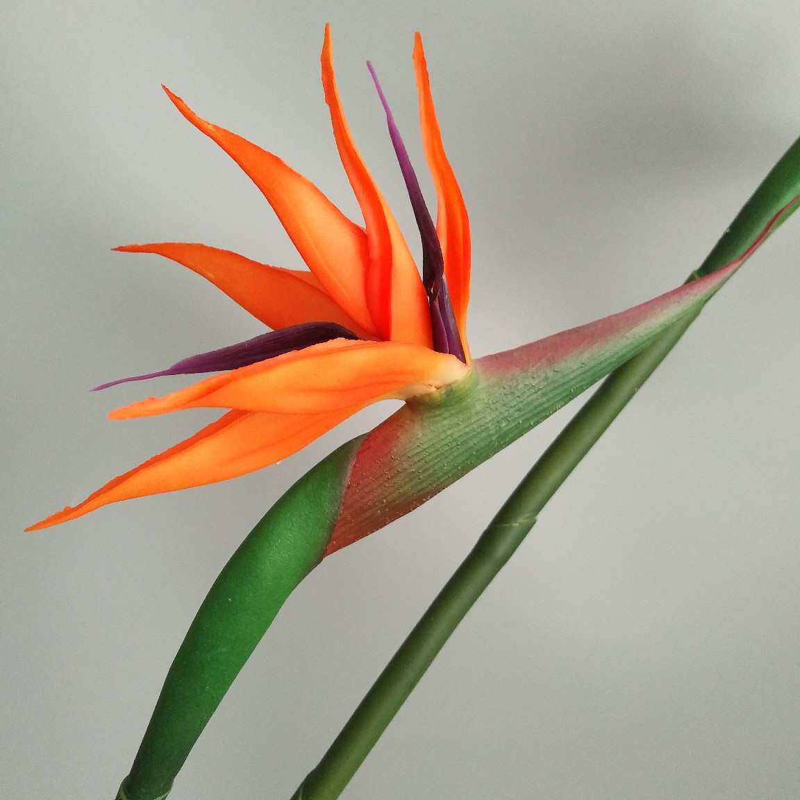 Soft rubber paradise Bird Crane Orchid New Chinese-style home model room decoration design, overseas wedding photography artificial flower pic 1