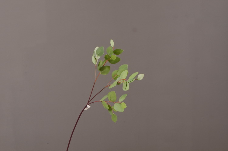 Dongli Flower Industry, the original manufacturer, offers direct sales of green plants in stock, wholesale of artificial leaves, round leaves with fruits, eucalyptus leaves, eucalyptus leaves, and one-piece consignment pic 13