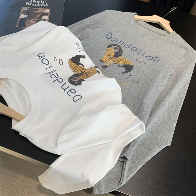 Playful and youthful embroidered printed puppy loose straight top straight-shoulder round-neck long-sleeved T-shirt for women 2025 early Spring G021418 pic 47