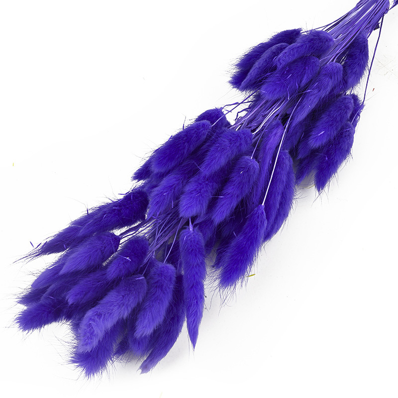 兔尾草干花真花永生花满天星干花花束批发家居装饰插花拍摄道具                               详情28