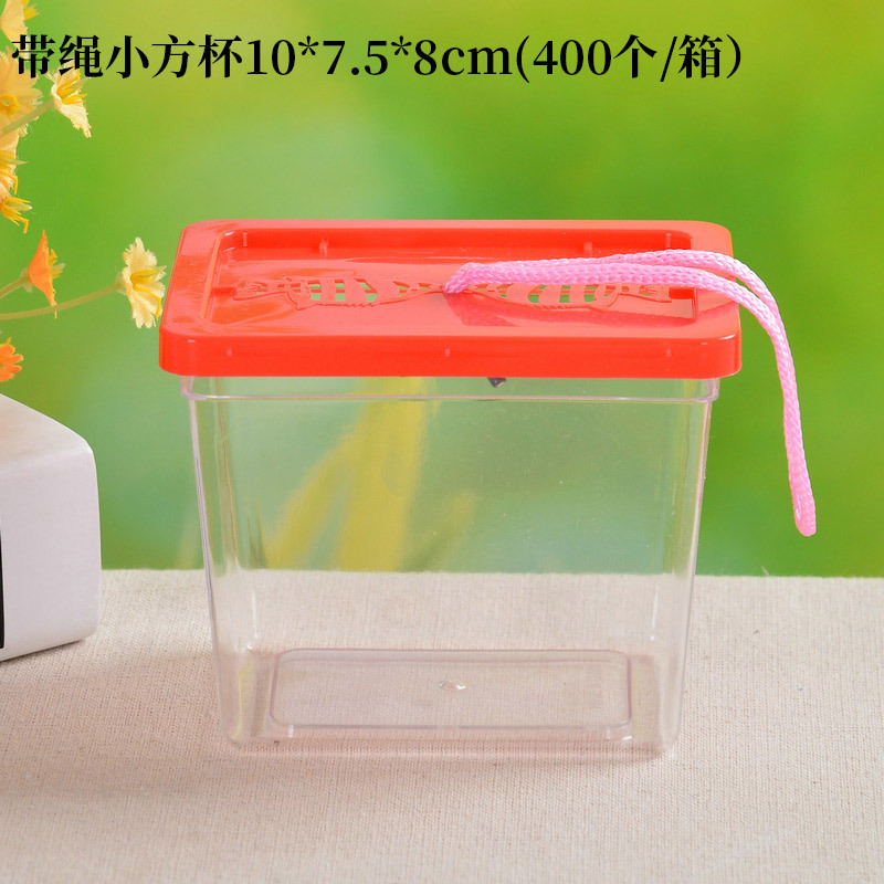 Wholesale of large, medium and small-sized portable plastic goldfish tanks, transparent turtle tanks, reptile pet breeding and transportation boxes from manufacturers pic 24