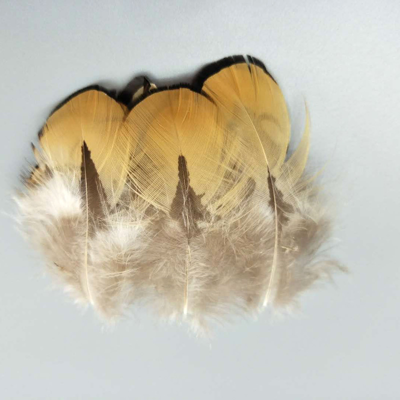 厂家批发珍珠鸡毛彩色羽毛 服装DIY手工工艺品饰品耳环材料野鸡毛详情29
