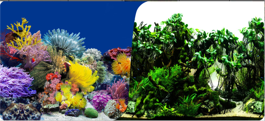 60cm double-sided thick fish tank background painting aquarium decoration background painting can be customized for multiple types of aquariums pic 8
