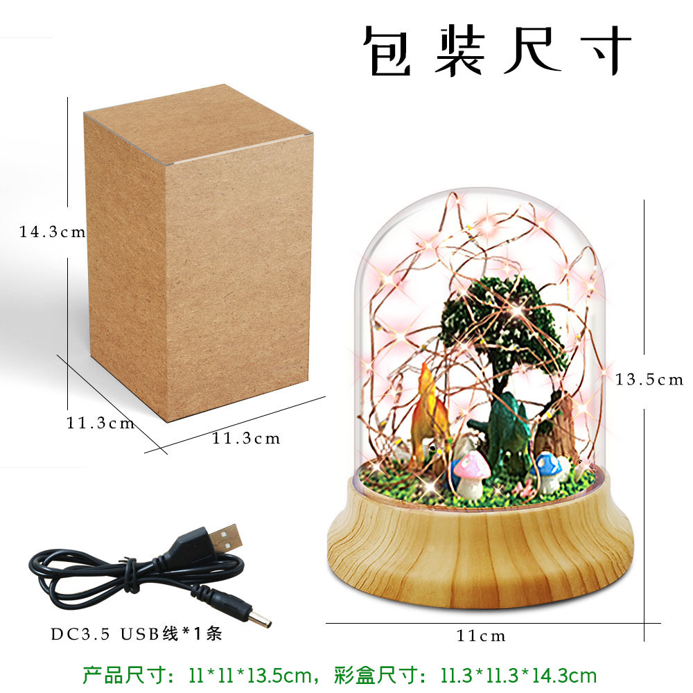 恐龙B包装
