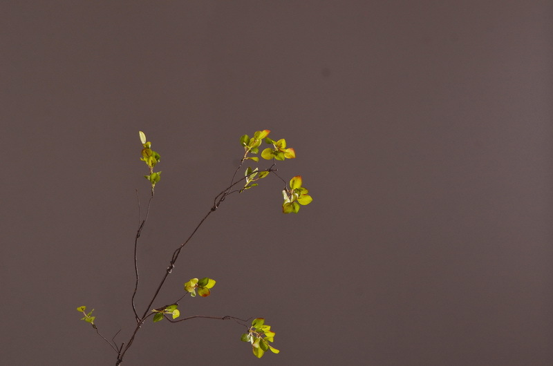 Flower Knowledge, simulating spring rain leaves, New Chinese-style Zen-inspired soft furnishings, flower leaf materials, simulating touch, autumn leaves, home decorations, floral art pic 3