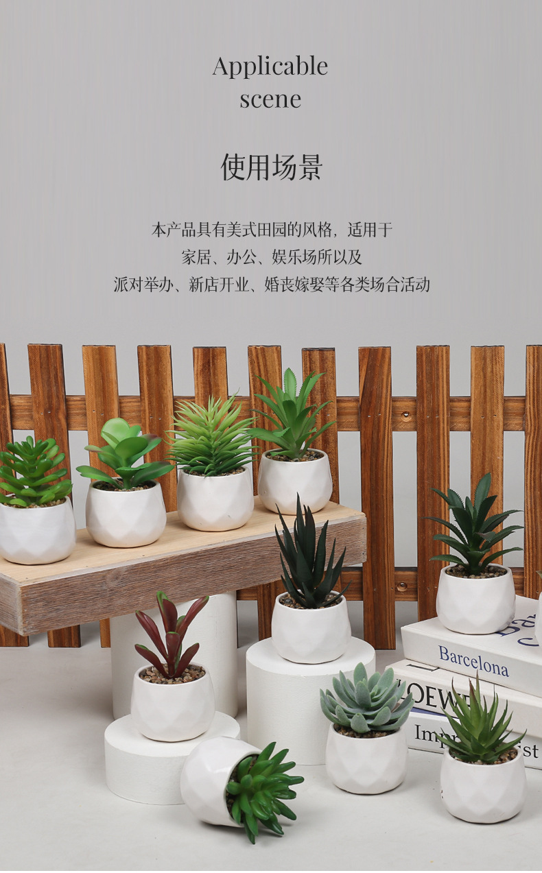 Amazon set of simulation succulent three-piece set with PVC box home decoration simulation plant potted plant gift pic 41