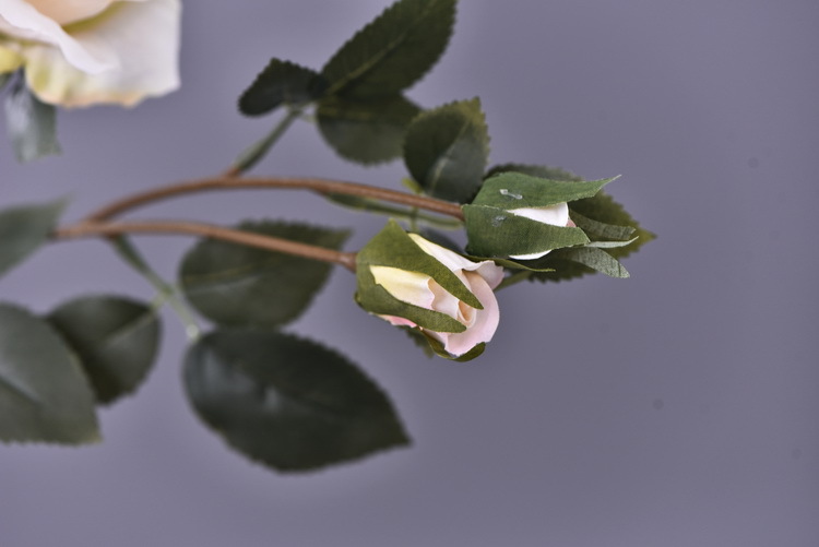 Factory wholesale of 5-head simulated rose with charred edges, retro Greek rose, living room, hotel and homestay photography props rose pic 32