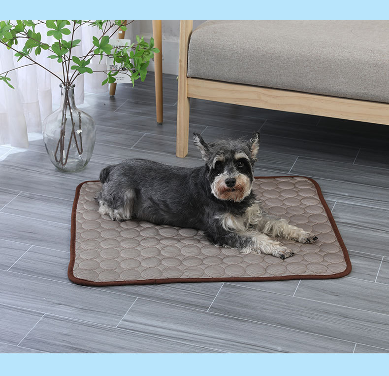 宠物冰垫夏季降温冰丝睡垫宠物沙发垫防咬狗狗冰垫夏季猫凉垫厂家详情12