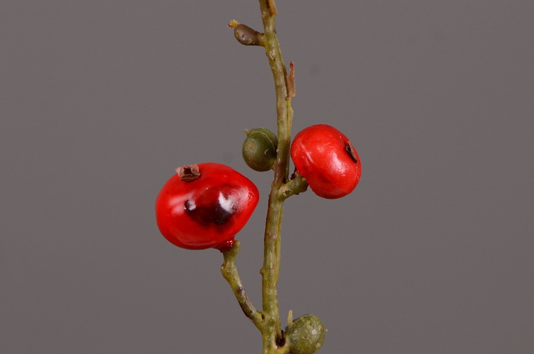 Artificial rosehip, artificial plant fruit, berry, American decorative floral arrangement materials, photography props pic 14