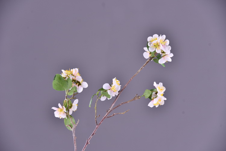 Wholesale of artificial flowers from the original factory, including artificial pear blossoms, cherry blossoms, duckweed flowers, model rooms, living rooms and hotel decorations pic 17